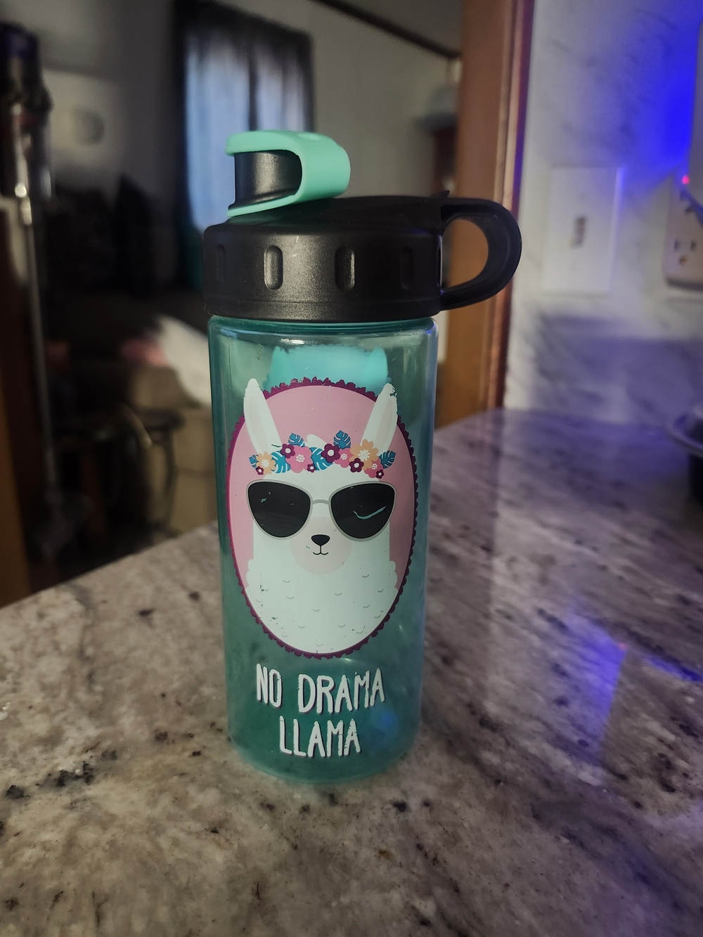 No Drama Llama Water Bottle with Flip Cap